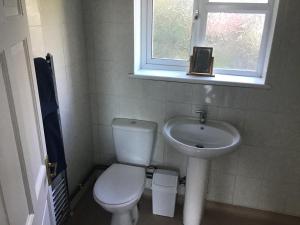 a bathroom with a toilet and a sink and a window at The Annexe in Isle of Wight