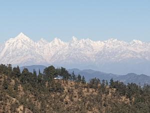 a group of snow capped mountains in the distance at Greenwood Cottage in Mukteswar +10 photos