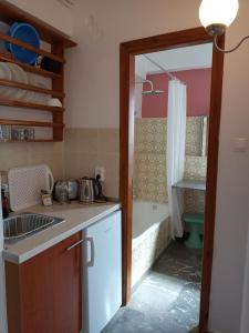 Kuchyň nebo kuchyňský kout v ubytování Dilina Guesthouse - Alkioni