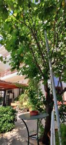 Zahrada ubytování Dilina Guesthouse - Alkioni