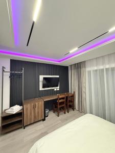TV a/nebo společenská místnost v ubytování Hotel Agron