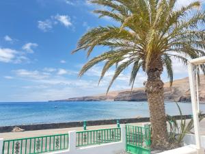 una palmera frente a una playa en La casa de la playa, en Playa Quemada