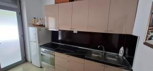 Kuchyň nebo kuchyňský kout v ubytování TreRacat Apartment