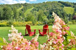 two red chairs and a table in a field with flowers at Luxurious ski-in ski-out condo in Saint-Sauveur in Saint-Sauveur-des-Monts