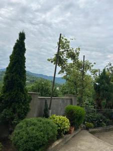 Paisaje cerca de este hostal o pensión