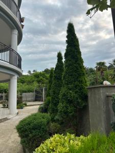Jardín al aire libre en Shine Hill შაინ ჰილი