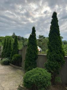 Jardín al aire libre en Shine Hill შაინ ჰილი
