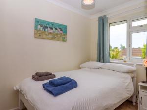 a bedroom with two beds and a window at Hedgehogs in Barnstaple