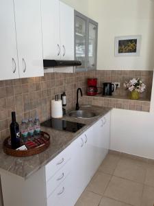 Kuchyňa alebo kuchynka v ubytovaní Pucisca Vero Apartments