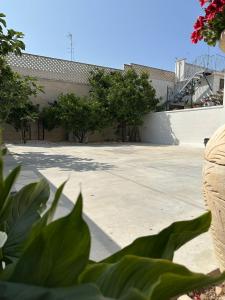 Fotografie z fotogalerie ubytování Marea v Bari
