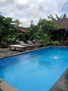 a swimming pool with lounge chairs next to a house at Santika Guest House in Ubud