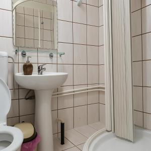 a bathroom with a sink and a toilet at Cabana Ogradena in Eşelniţa +15 photos