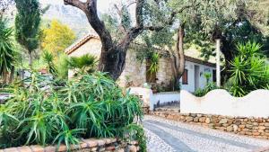 Vonkajšia záhrada v ubytovaní Villetta il Carrubo vista mare