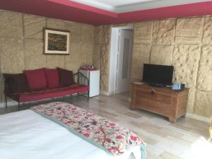 a bedroom with a bed and a tv and a couch at La Villa des Poètes in Nyons