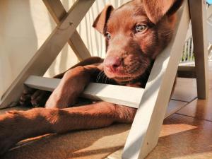 Gallery image of Baglio Anastè in Buseto Palizzolo