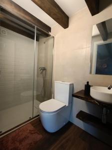 a bathroom with a toilet and a sink at Quinta da Regada in Arcos +41 photos