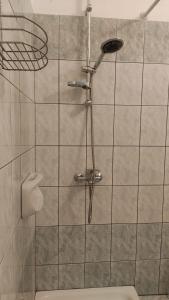 une douche avec pommeau de douche dans une salle de bain dans l'établissement Nikolaou Thomas House, à Parga