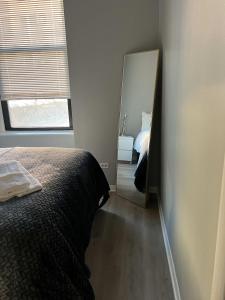 a bedroom with a bed and a mirror at South Loop 2 Bedroom Apt in Chicago
