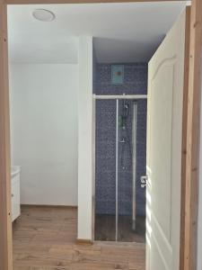a bathroom with a shower in a room at La Miruna in Comăneşti +61 photos