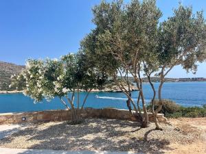 Fotografia z galérie ubytovania SeaWave Villa II, By Hellocrete v destinácii Marathi + 32 fotografií