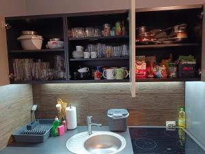 a kitchen counter with a sink and a shelf with dishes at Chata Opata in Lubiąż +59 photos