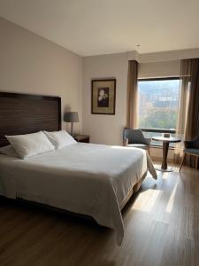 Postel nebo postele na pokoji v ubytování Hotel Morrison Zona Rosa + 30 fotografií