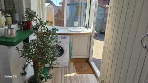 a washer and dryer in a house with a tree at Westend House in Goring by Sea +96 photos