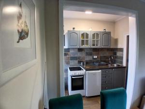 Kuchyň nebo kuchyňský kout v ubytování Lep apartman TARA -Kremna