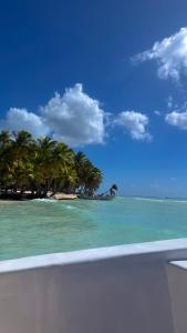 a view of a beach with palm trees on a boat at bavaro Punta Cana Beach club in Punta Cana