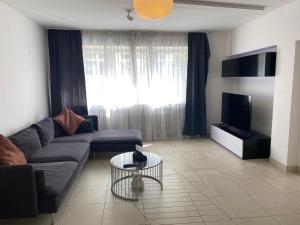 ein Wohnzimmer mit Sofa und Fernseher in der Unterkunft XXL-Cologne Cathedral Apartment in Köln