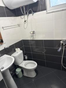 a bathroom with a toilet and a sink at Bar-Hotel IRDI in Bulqizë
