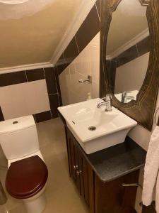 a bathroom with a toilet and a sink and a mirror at The Manor in Lomé +43 photos