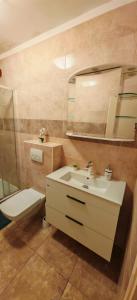 a bathroom with a sink and a toilet and a mirror at Apartman Nenad in Pula