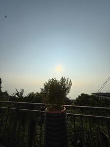 Paesaggio naturale nelle vicinanze dell'affittacamere