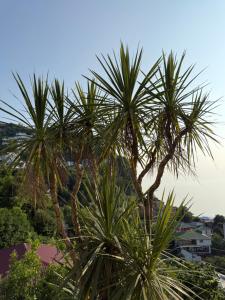 Paesaggio naturale nelle vicinanze dell'affittacamere