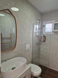 カッサンドレイアにあるLuxury Villa Sani A2の洗面台、トイレ、鏡のあるバスルーム