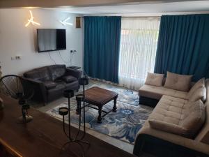 a living room with a couch and a tv at Lotca_lu_Vasile in Crisan