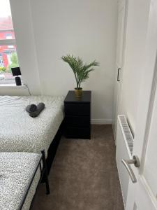 a bedroom with a plant on a dresser with a plant at Cozy Apartment, Parking, Wi-Fi, Sleeps 5 in Liverpool