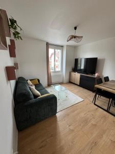 a living room with a couch and a television at La Terrasse Ouest in Thonon-les-Bains