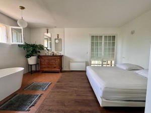 a bedroom with a bed and a tub and a sink at La Villa verdoyante in Baillargues
