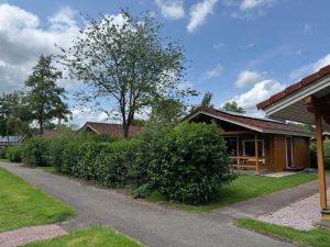 a house with a tree next to a street at Kiwi-Cabin 45 in Gramsbergen