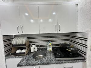 Kuchyň nebo kuchyňský kout v ubytování Sultanahmet Immortelle Apartment