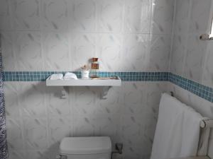bagno con servizi igienici e mensola sul muro di The Dream Nest at Csompó Silver Manor a St Mary