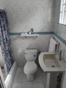Bagno di The Dream Nest at Csompó Silver Manor