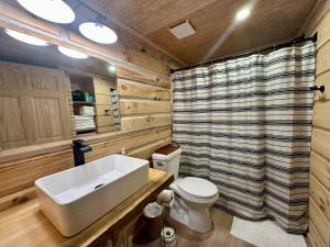 a bathroom with a sink and a toilet and a shower at Boulder Ridge Cabin in Eckerty +15 photos