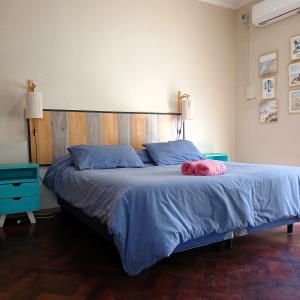a bedroom with a bed with blue sheets and a pink pillow at CORAGGIOSA in Mendoza