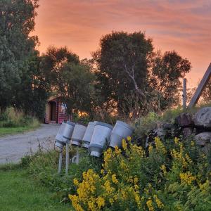 Zahrada ubytování Gårdshytten, Dverbergveien 143