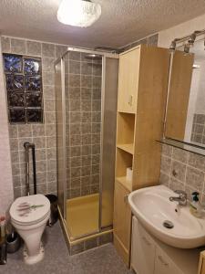 a bathroom with a shower and a toilet and a sink at Ferienwohnung Helma Richter in Rathmannsdorf +3 photos