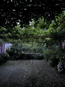 Zahrada ubytování Villa Linna