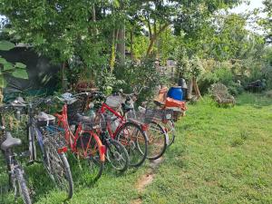 a group of bikes parked in the grass at B&B Susy e Max 